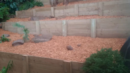 retaining-wall-central-coast